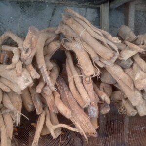 Asofeyeje (DRIED)