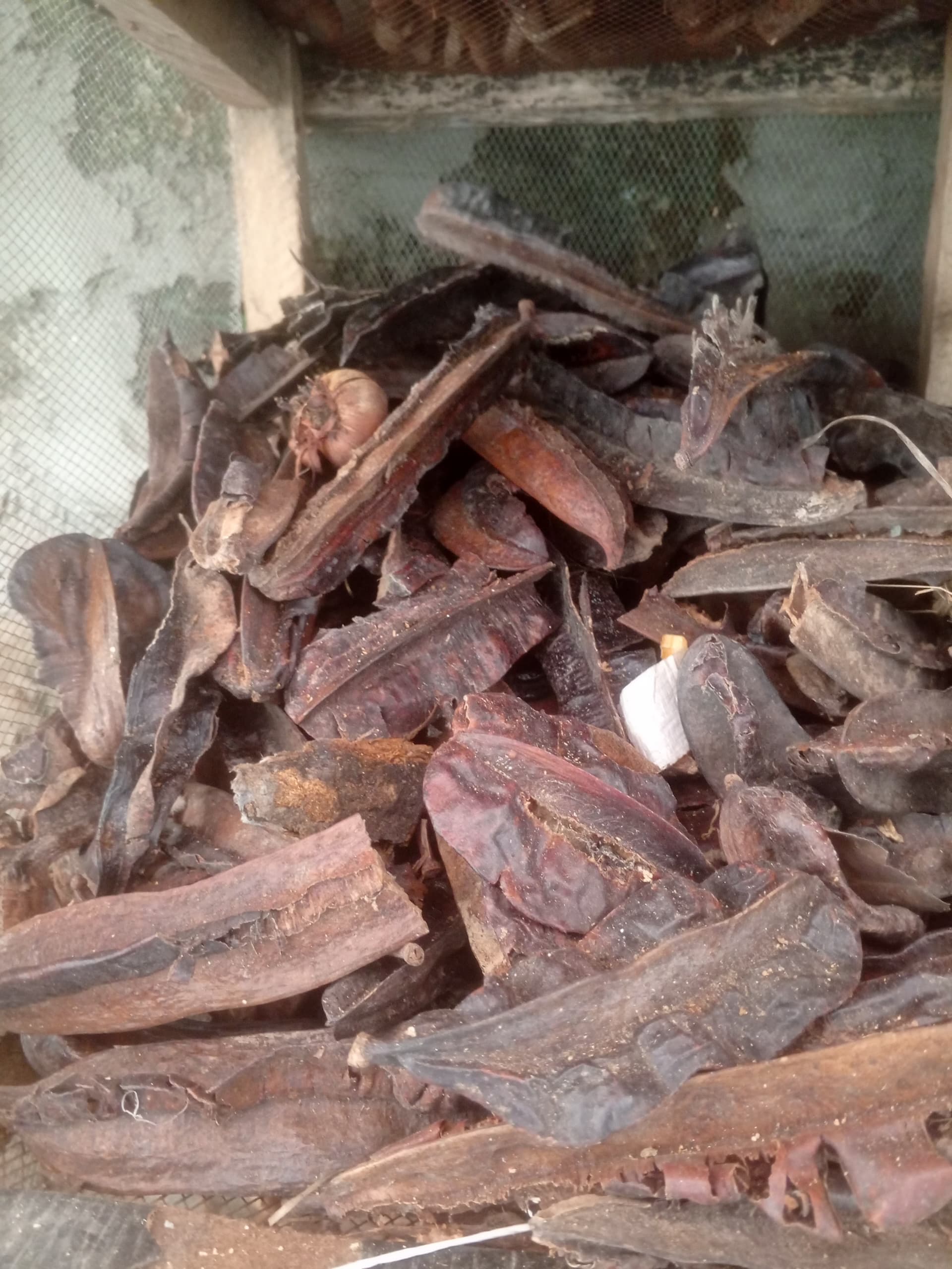 Aidain (DRIED)