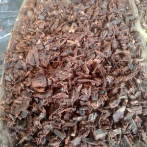 Egbo Cashew (DRIED)