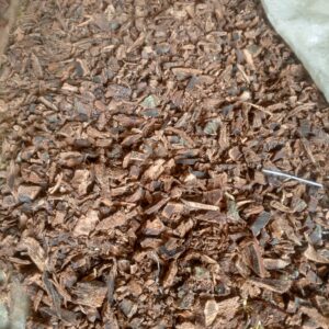 Egbo Mango (DRIED)
