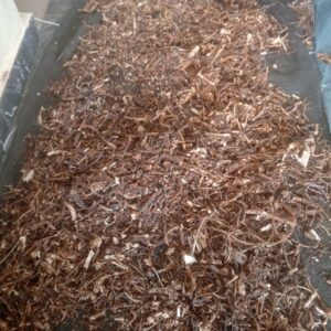 Isirigun (DRIED)