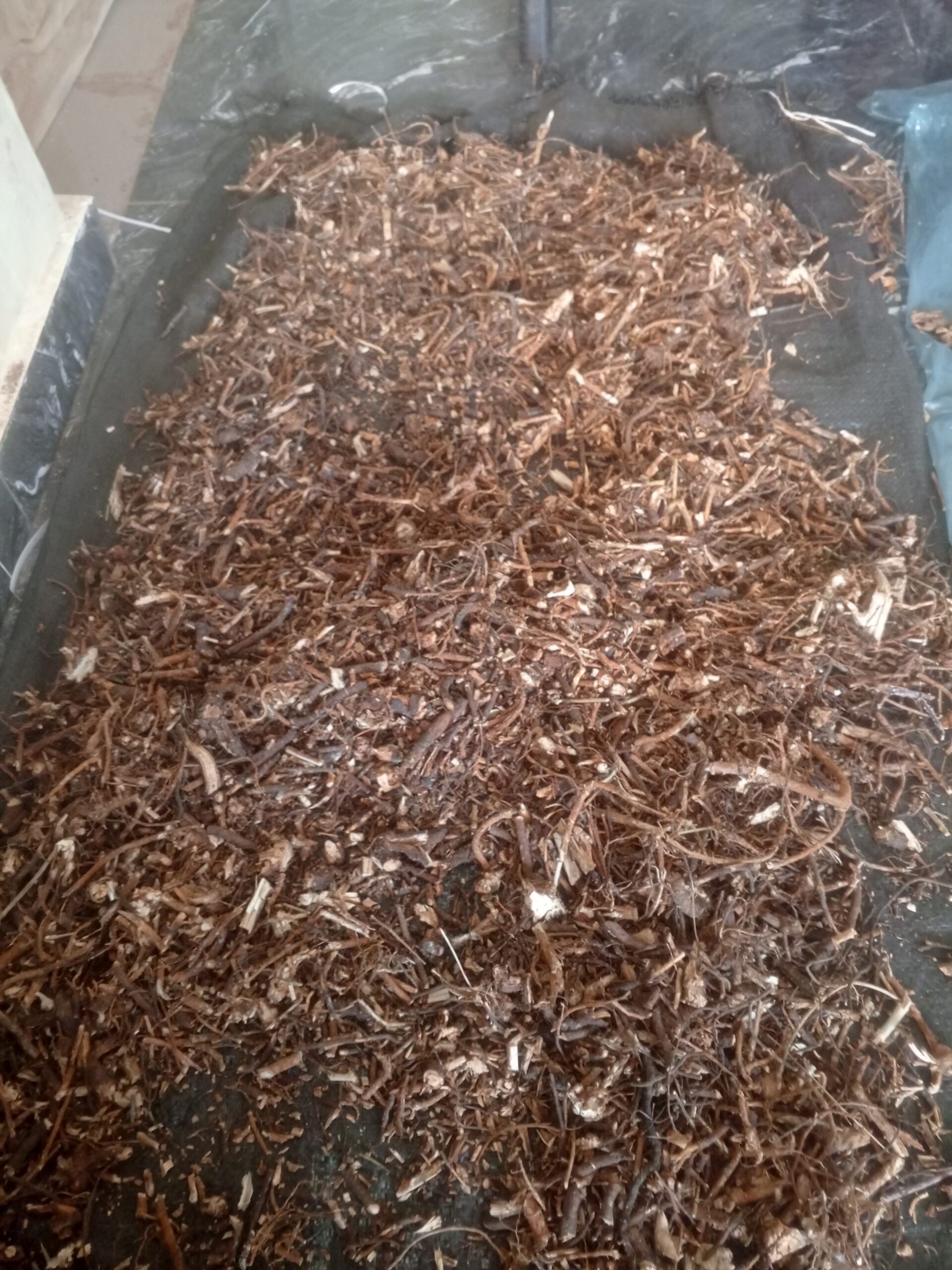 Isirigun (DRIED)