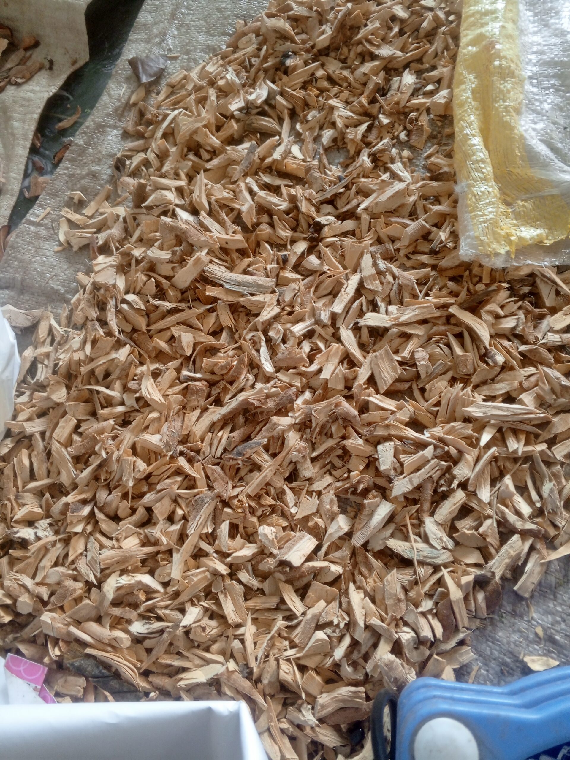 Ipeta (DRIED)