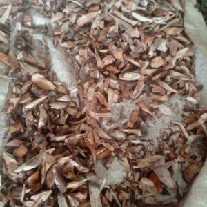 Atori (DRIED)