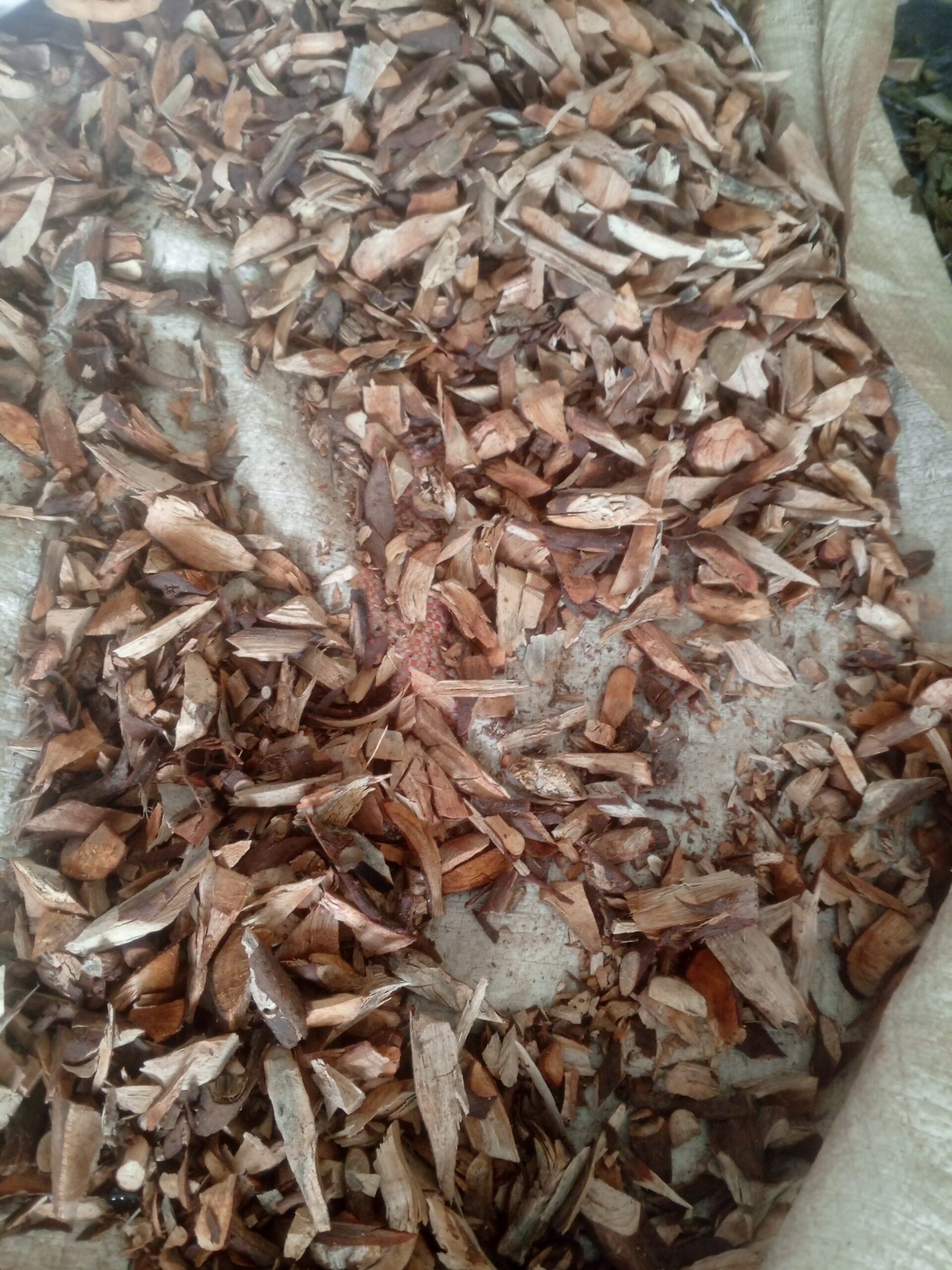 Atori (DRIED)