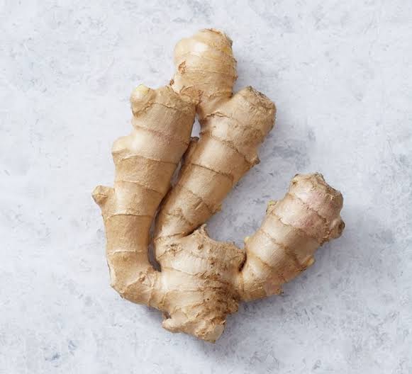 Ginger - Image 2