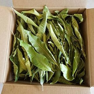 Mango Leaf