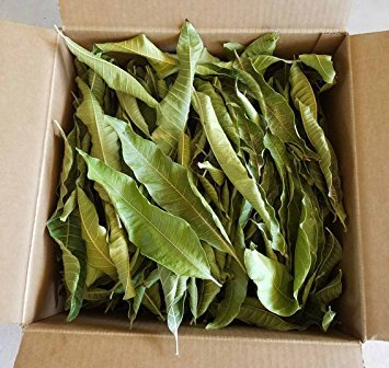 Mango Leaf