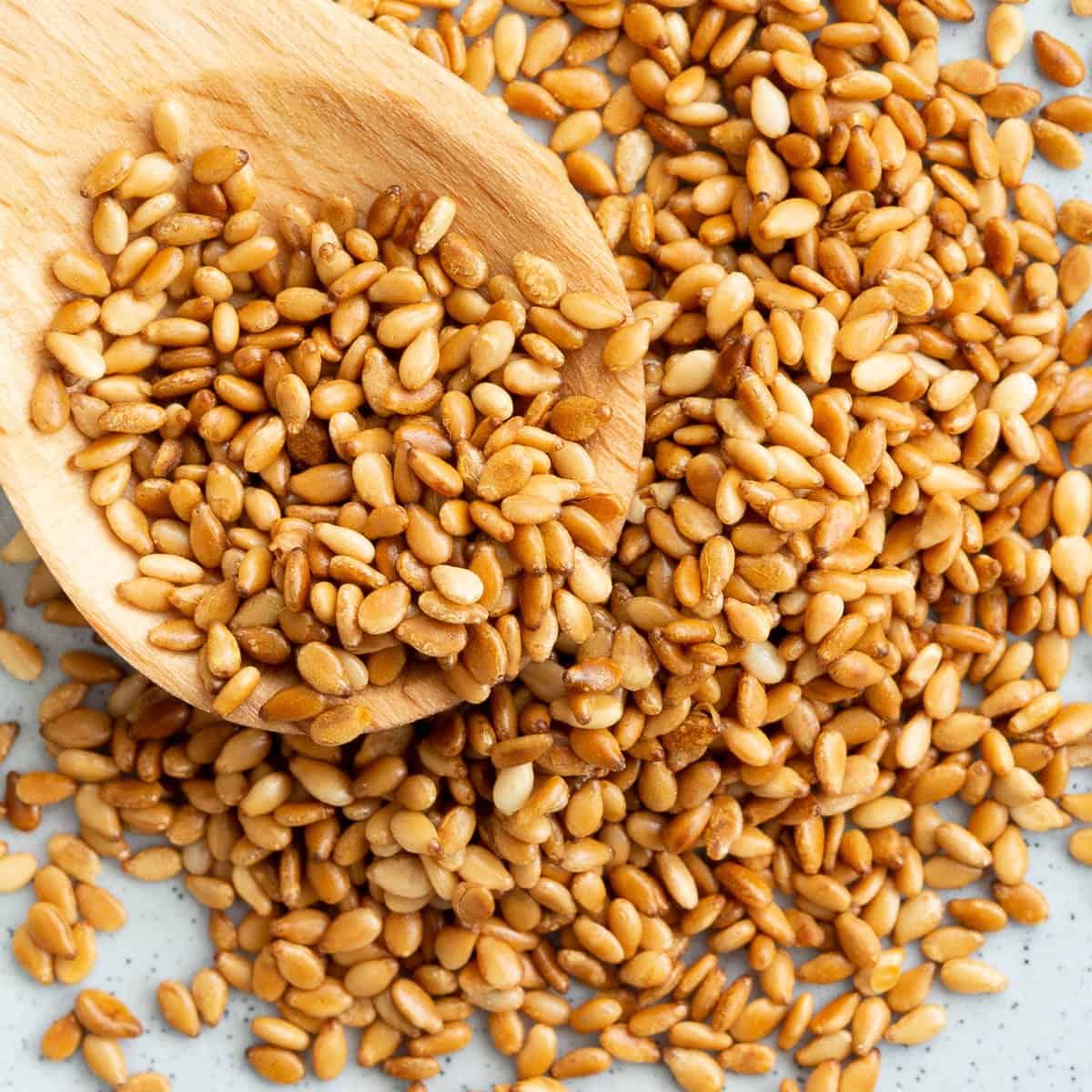 Sesame Seed - Image 3