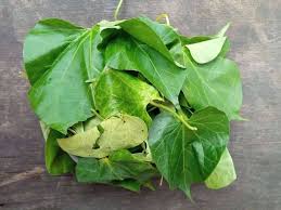 Uziza Leaf