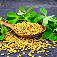 Fenugreek seeds in a spoon and on a table with green leaves against a black wooden board